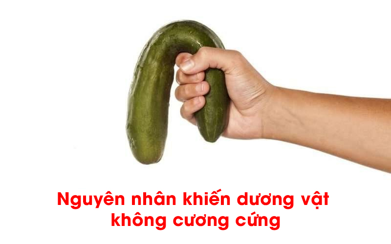 Dương vật